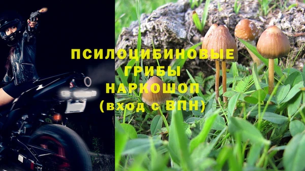 PSILOCYBIN Володарск